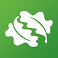 Logo: two intertwined oak leaves