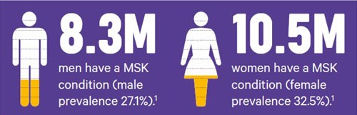 Infographic showing the prevalence of MSK conditions between men and women - 8.3m men and 10.5m women in the UK