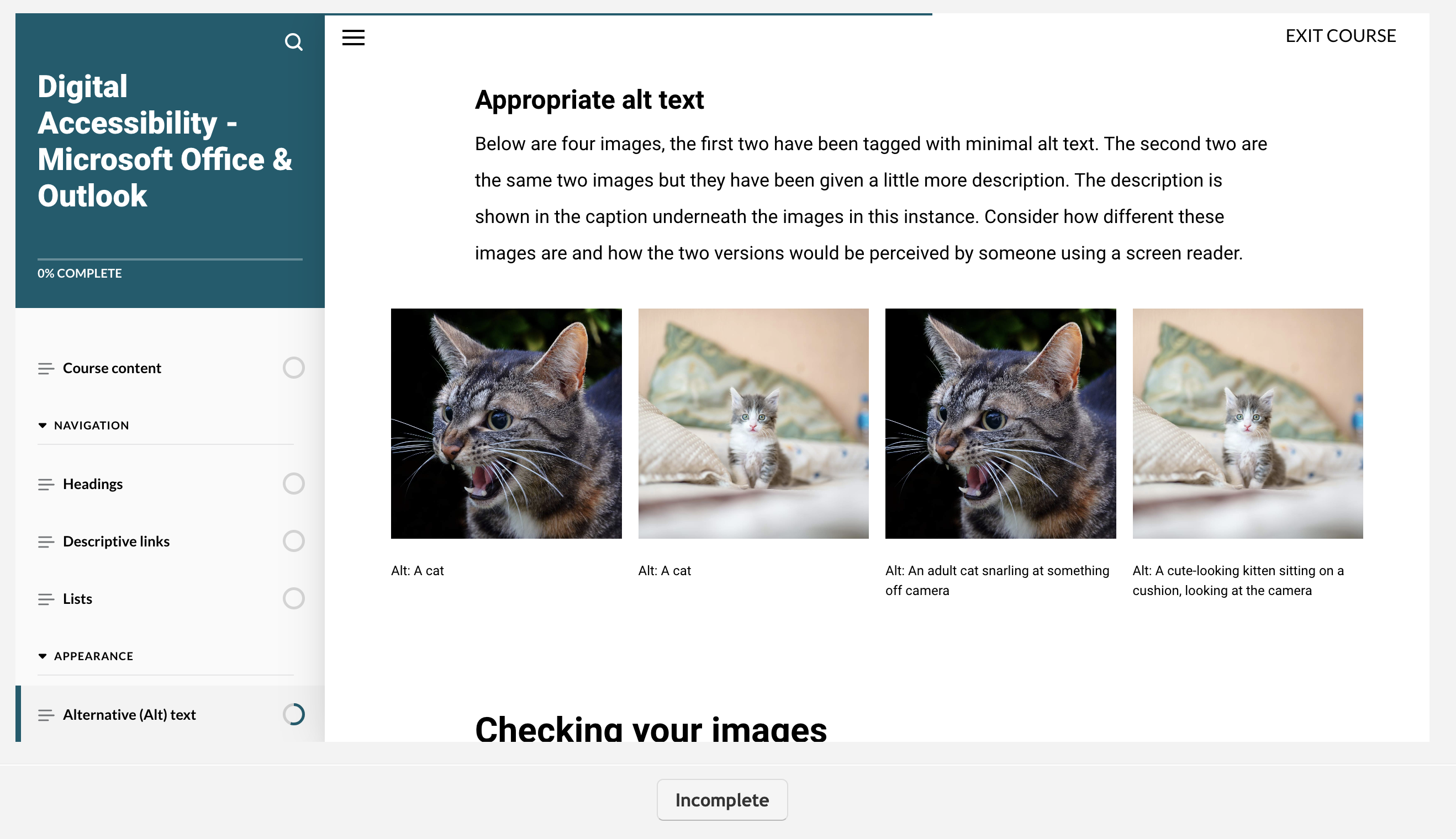 Screenshot from Office 365 eLearning online module showing images of cats to demonstrate the importance of appropriate alt text. 4 images are featured - two of an adult cat snarling at something off camera, and two of a cute kitten sitting on a cushion. But with different alt text applied to the first two separate images - they both say 'a cat' whereas the other images are more descriptive as mentioned. The Left hand navigation of the webpage shows 'Digital Accessibility - Microsoft Office and Outlook' and then 'Course content, Headings, Descriptive links, Lists, Appearance, and Alt text' as the navigation options.