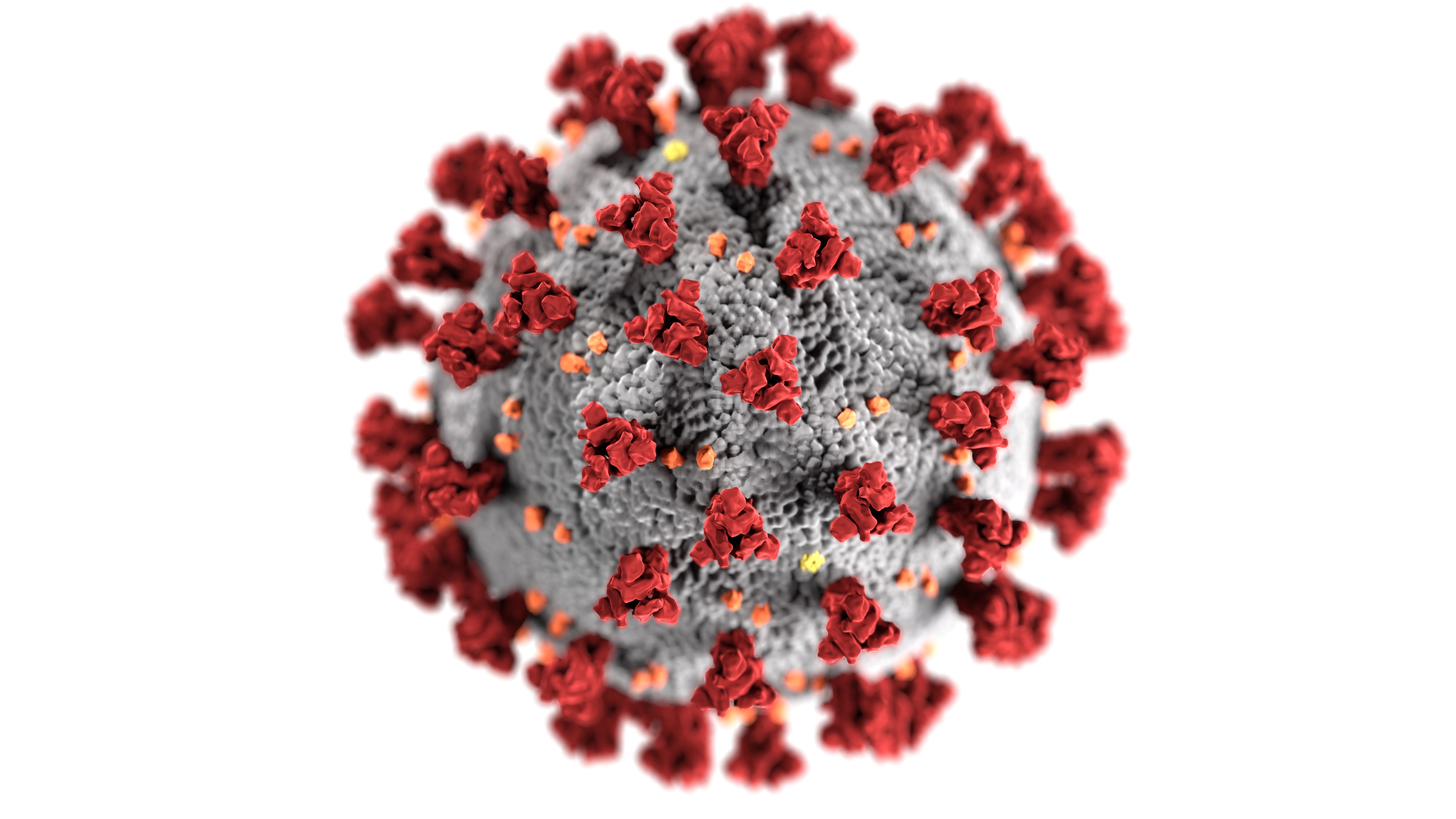 Image shows a picture of the Covid-19 virus under the microscope