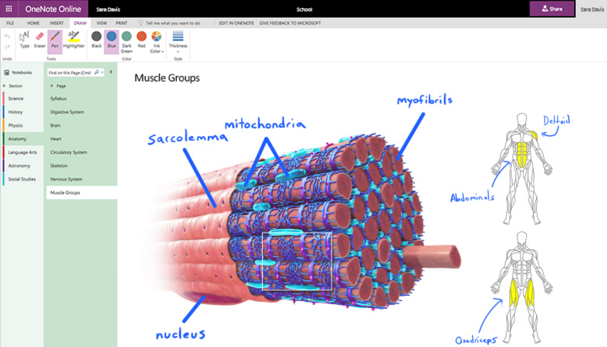 Example of OneNote Digital Ink in practice showing how it can be used to annotate an image