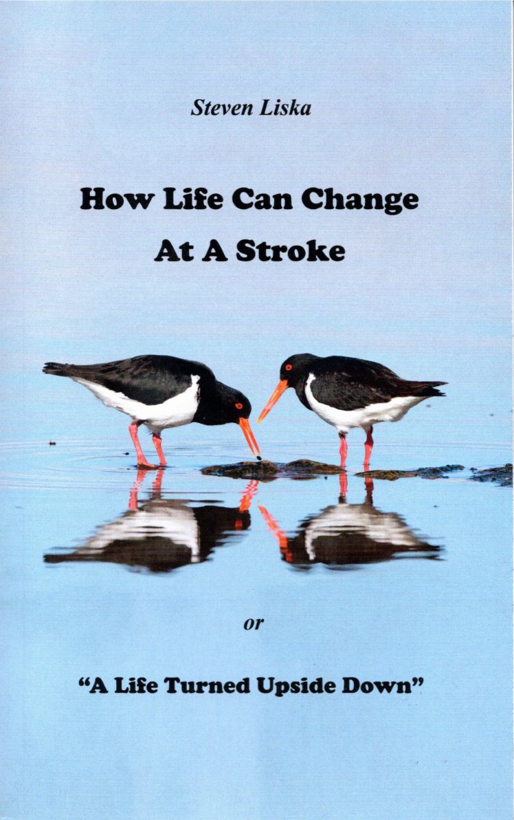 Book cover with two seabirds on the beach in the low tide. Words: Steven Liska 'How life can change at a stroke'