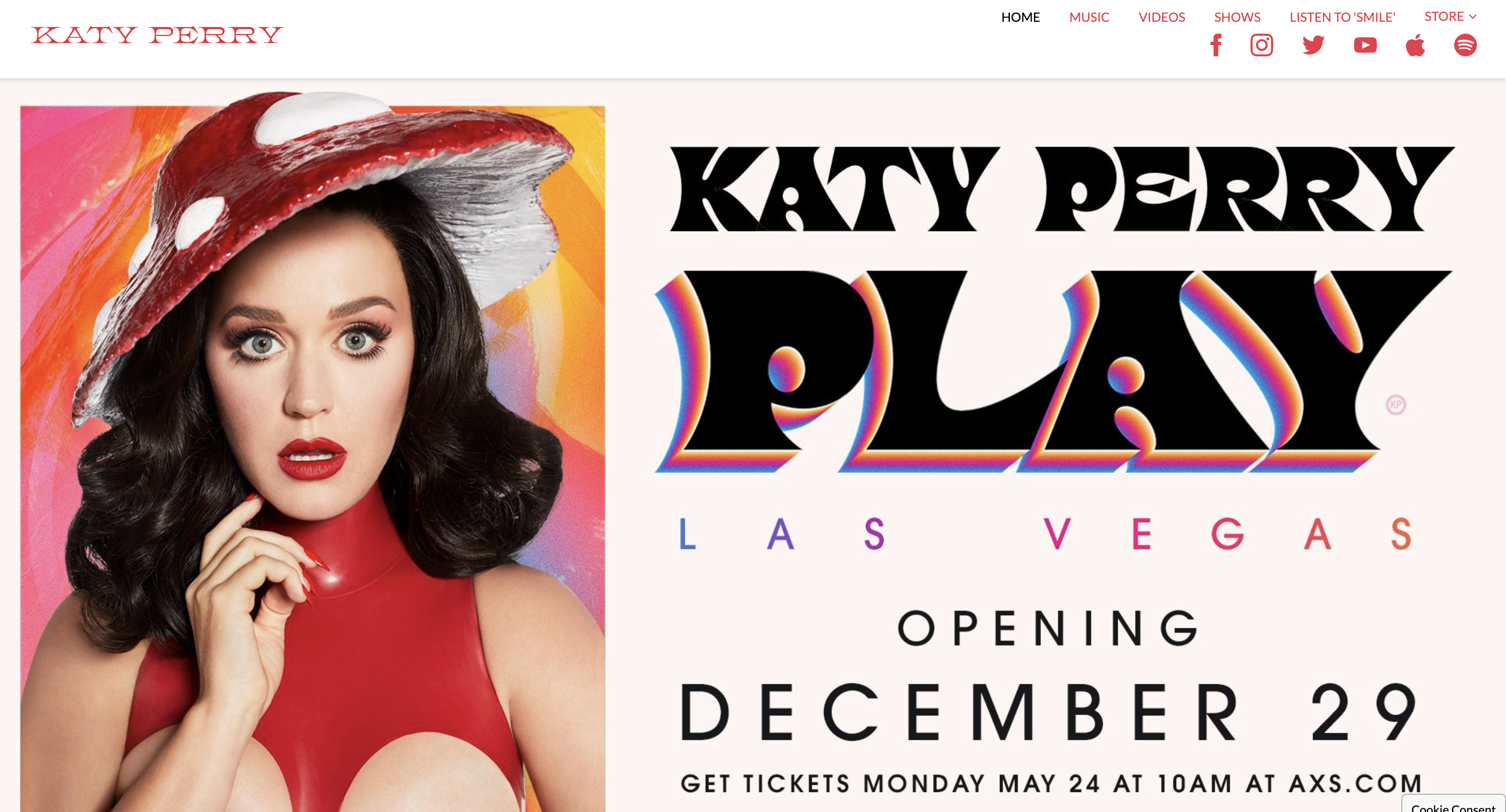 A picture of Katy Perry from her official website