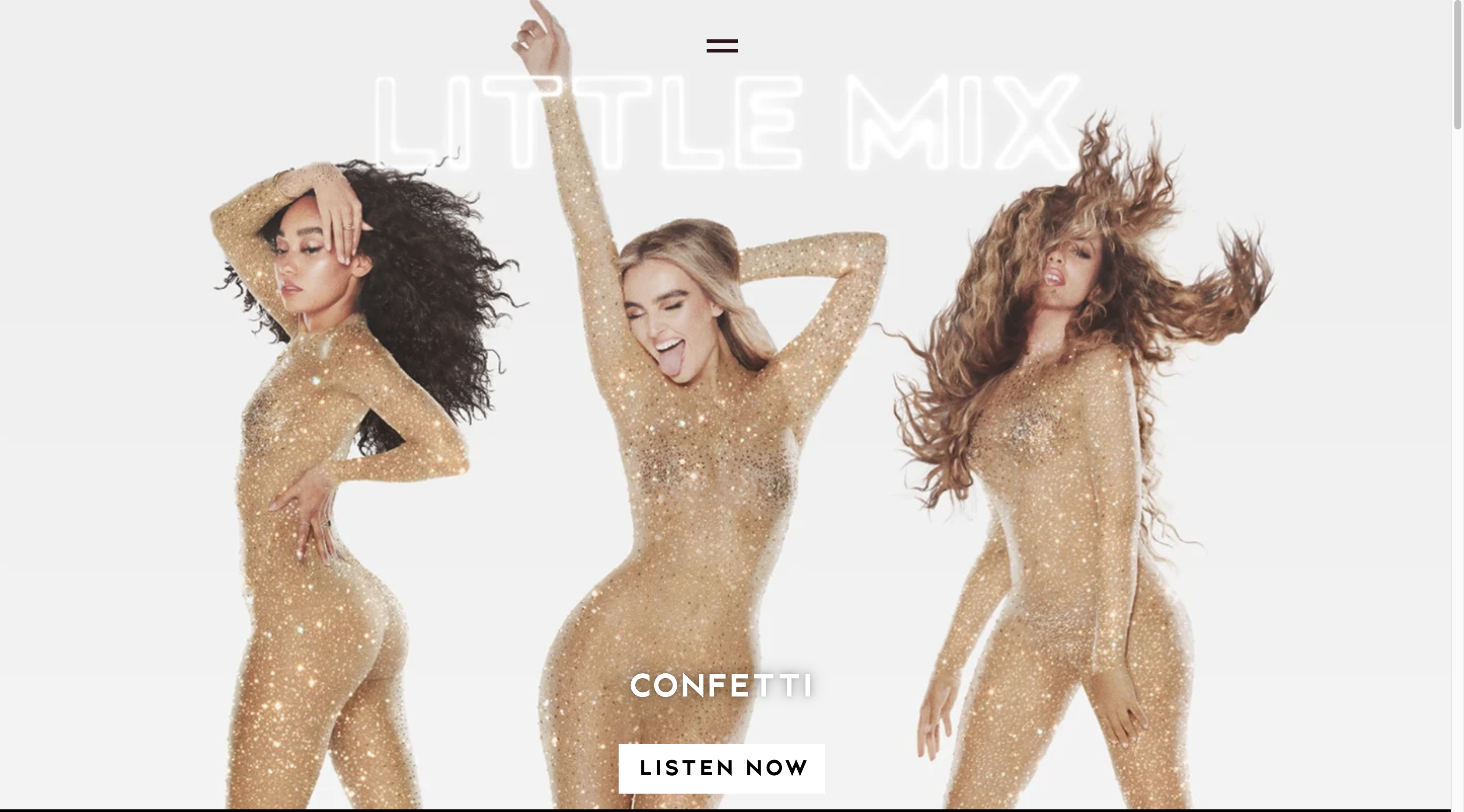 Images shows a screenshot of the little mix website