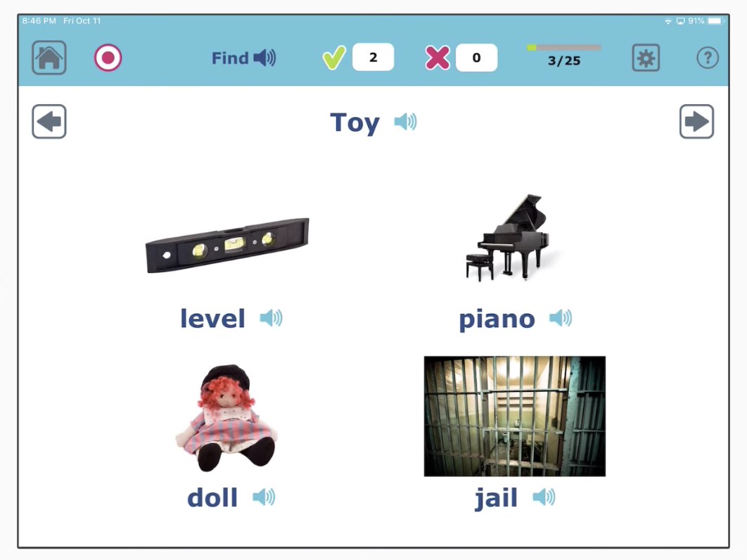 A screen shot from Category therapy. Various items on screen relating to the category 'toy' (doll) and some that do not (piano and a spirit level)