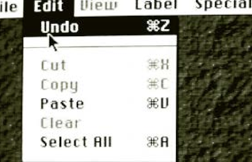 Screenshot of computer screen showing prominent 'Undo' option within menu