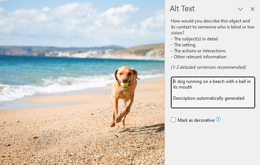Screenshot of Microsoft word page with an image of a dog running on a beach with a ball in it's mouth. The Alt text editor is to the right of this, with the text reading 'A dog running on a beach with a ball in it's mouth' 