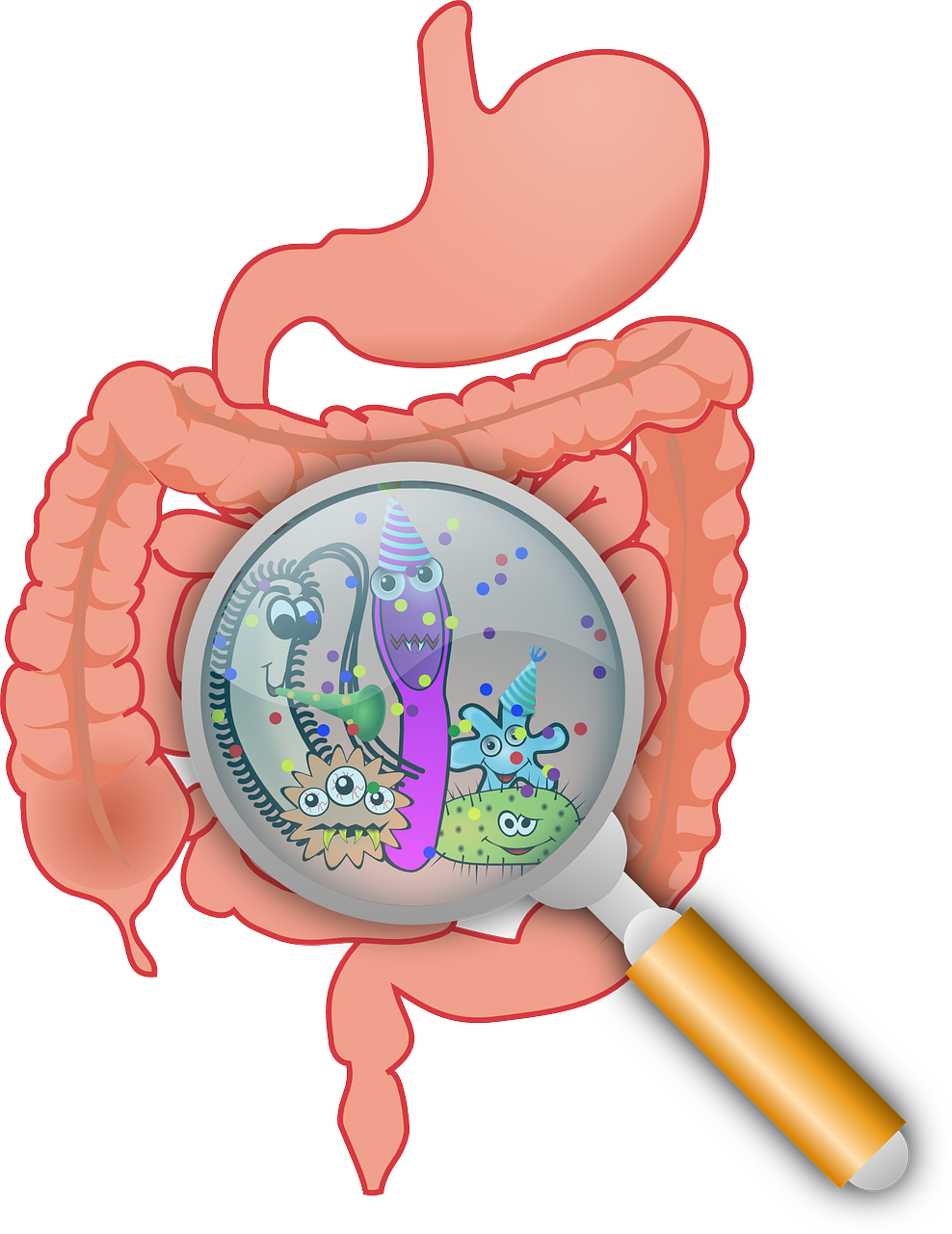 Image shows cross section of the stomach with caricatured bacteria inside