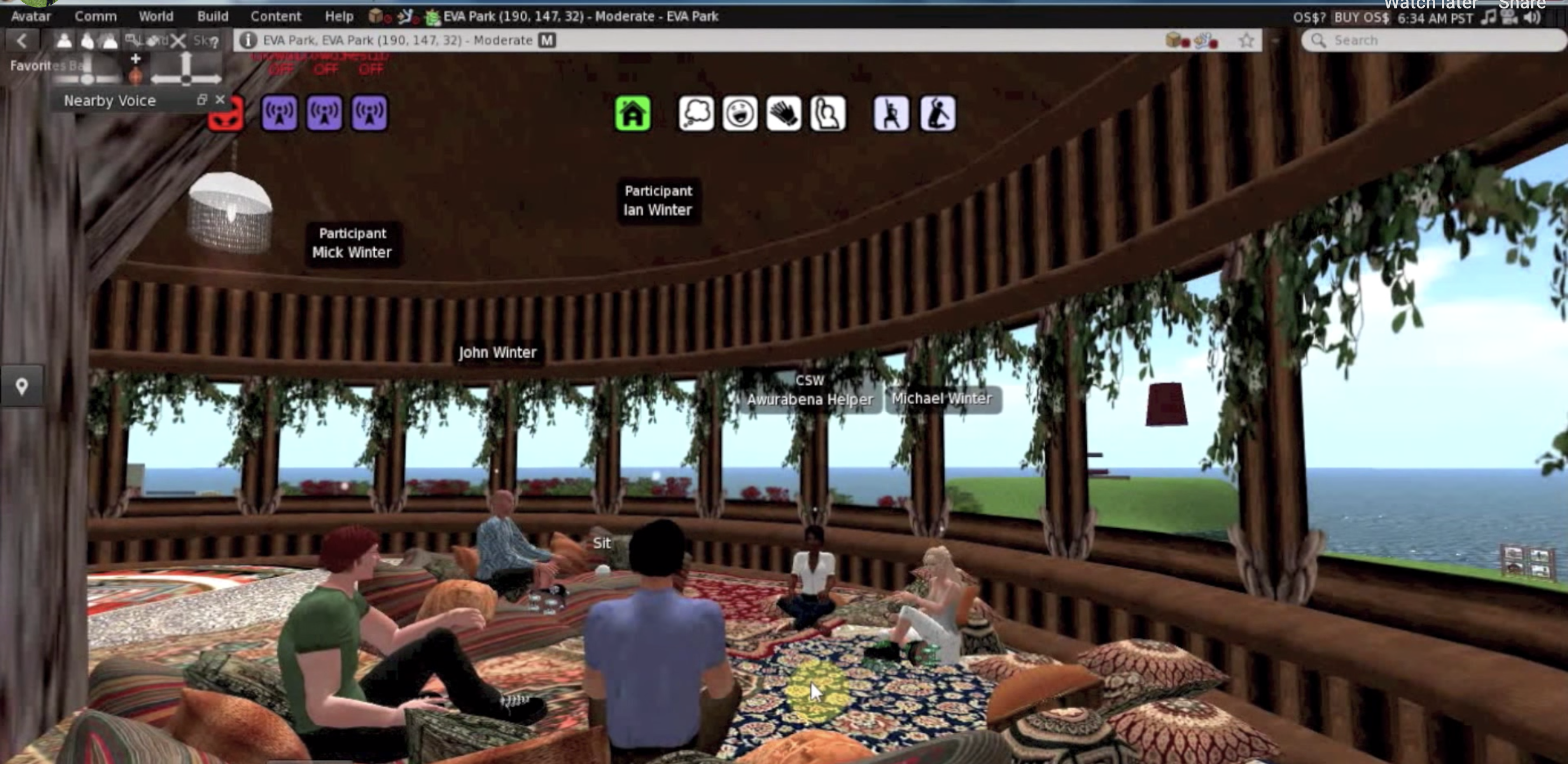Screenshot from Eva Park virtual world. It shows a collection of avatars sitting in a tree house.