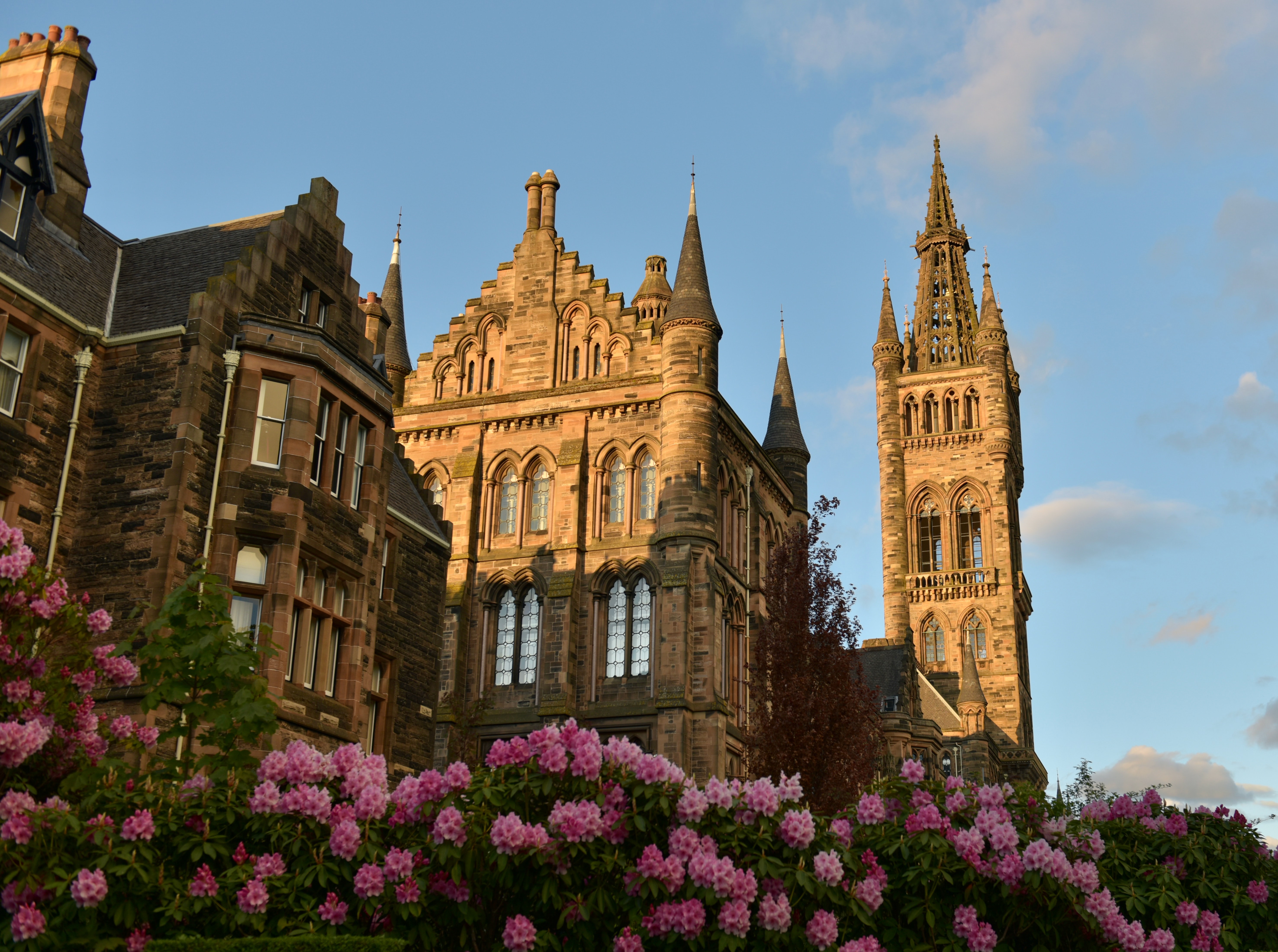 Picture of Glasgow University blue skies and pink flowers in the foreground