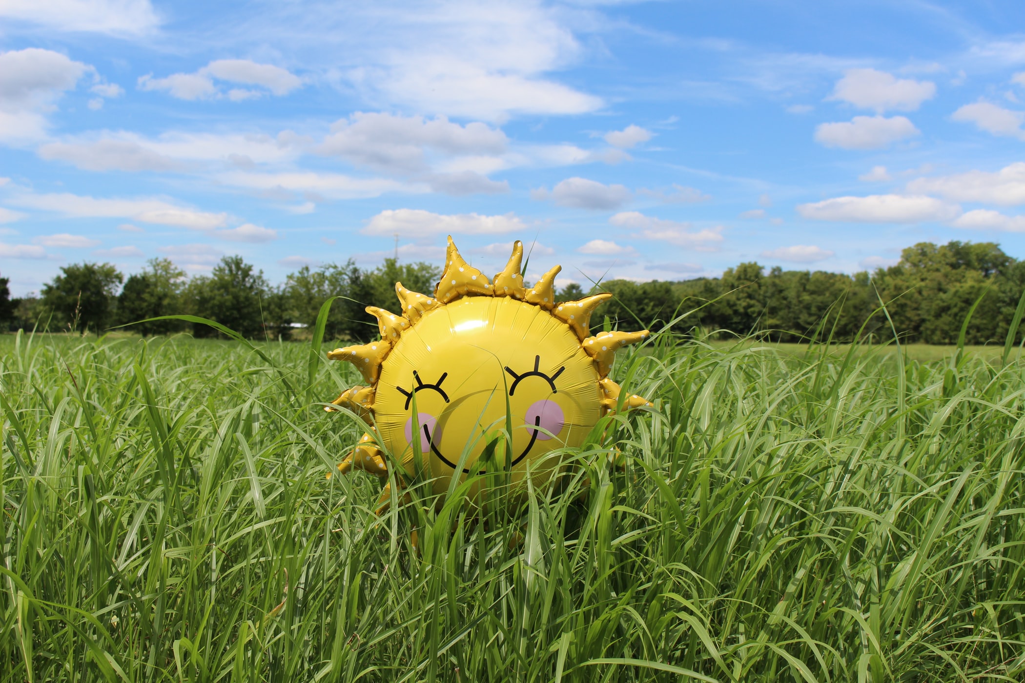 Image shows and inflatable sunshine with a smiley face in long grass with a blue sky overhead